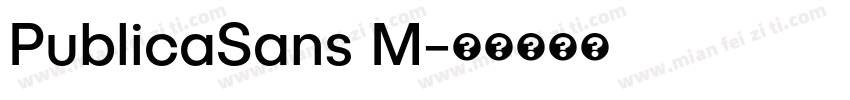 PublicaSans M字体转换